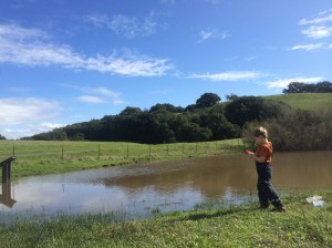 Water levels are much, much higher than they were a year ago.