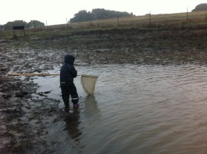 A year ago there wasn't much water, and the rims of the ponds were mud flats.