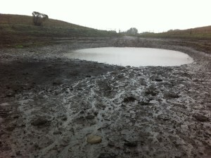 A year ago in February, both ponds were dwindled by drought to mere puddles.