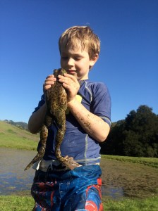 On our first day we caught the biggest bullfrog we've ever seen.