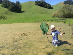 The second pond was much larger.
