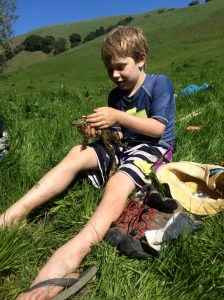 On the second day we caught (and released) four or five big frogs.