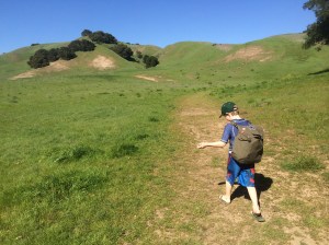 Even our scanty winter rain has draped the hills in green!