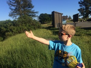 We set the butterfly free in Redwood Park, where there's plenty of monkeyflower.