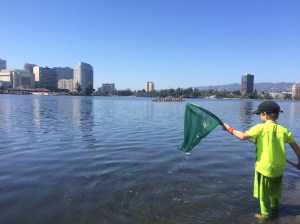 You never know what will turn up in the net!