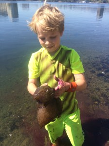You might find a sea hare. Good thing the ink doesn't stain skin or clothes!