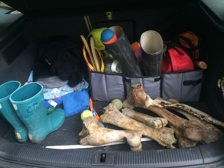 Trunk full of bones