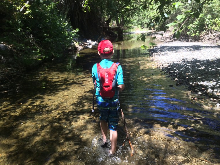Hiking in Alameda Creek