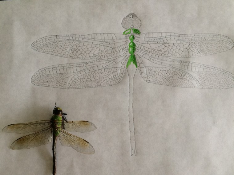 Second drawing start